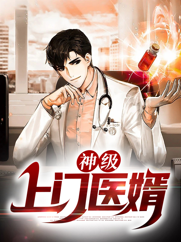 美女的上门医婿小说