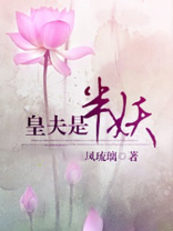 皇夫是半妖 凤琉璃