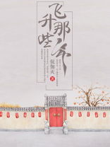 飞升那些年