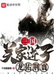 三国:关家逆子,龙佑荆襄