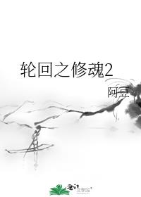 轮回之修魂2百度云txt
