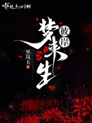 梦之彼岸