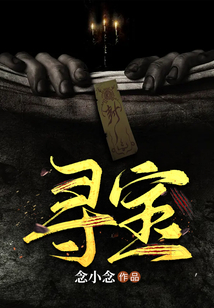 寻宝视频app下载安装