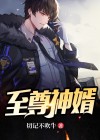 至尊神婿叶辰