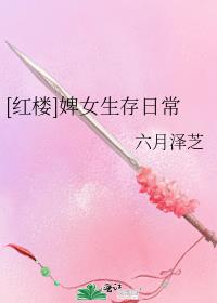 [红楼]婢女生存日常 小说