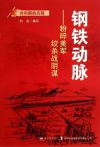 播放钢铁