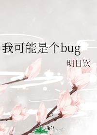 我可能是个bug小说