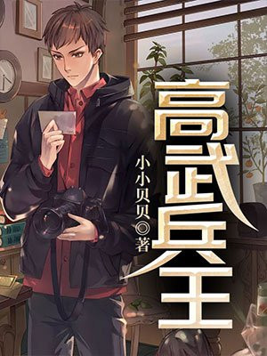 正道至尊娶了魔尊