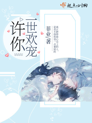 许你一世欢小说阅读