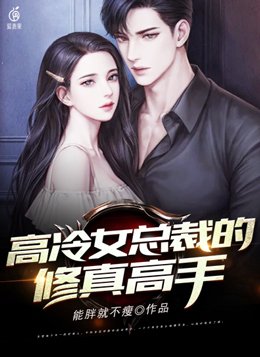 高冷女总裁的修真高手