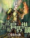异能师异界纵横 盗版小法师