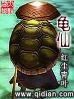 龟仙人啥意思