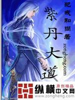 紫丹大街属于什么社区