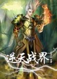 逆天战界