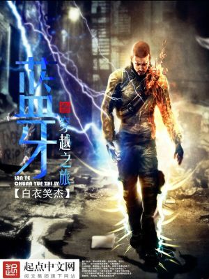 蓝牙穿越之旅TXT免费下载