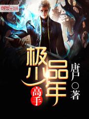 绝品少年高手17章