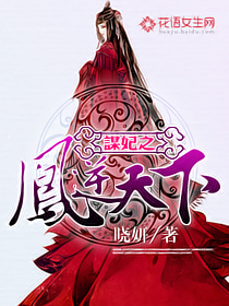 小说凤谋天下之倾世医妃