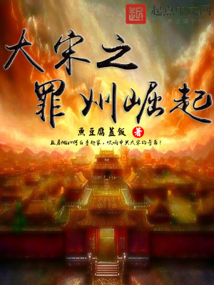 穿越大宋之崛起