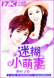 迷糊小萌妻小说