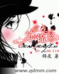 重生之苏锦洛小说