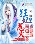 狂妃太嚣张：霸道王爷难驯服