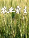 农业霸主