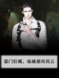 豪门狂婿，纵横都市风云
