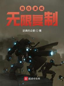 我在漫威无限复制小说