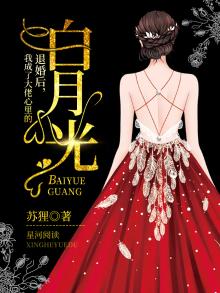 退婚后我闪婚了财阀大佬全集免费