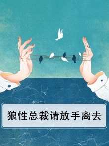 狼性总裁请放手离去