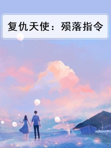 复仇天使:殒落指令