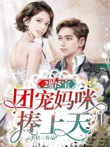 一胎二宝团宠娇妻