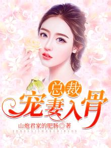 总裁宠妻入骨云浅浅傅夜寒小说免费阅读