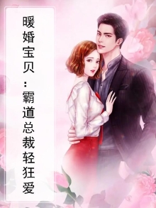 暖婚宝贝：霸道总裁轻狂爱
