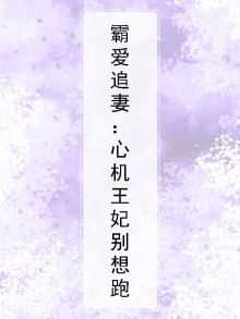 霸爱追妻:心机王妃别想跑
