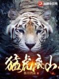 猛虎离山