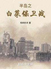 半岛之白菜保卫战TXT下载