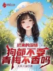 迟来深情完结