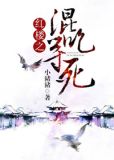 综红楼的小说