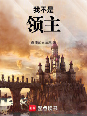 我不是领主TXT下载