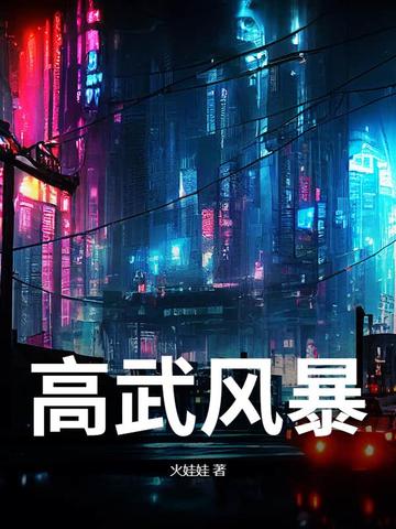 高武风暴小说