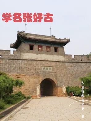 张好古小说