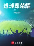 进球即荣耀小说