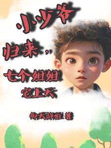 我家少爷 小说