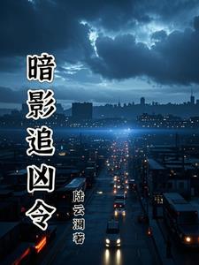 暗夜追凶剧情介绍