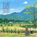山外吹来的风