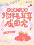 小凤凰三岁半，指挥毛茸茸成团宠