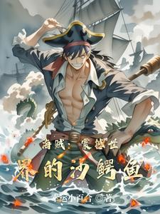 主角是沙鳄鱼的海贼王小说