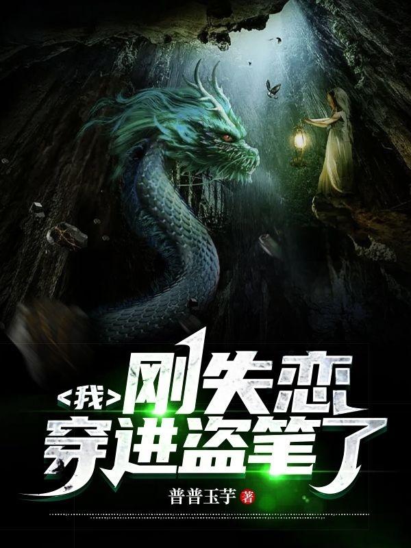我,刚失恋,穿进盗笔了小说