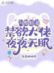 闪婚老公太给力全集